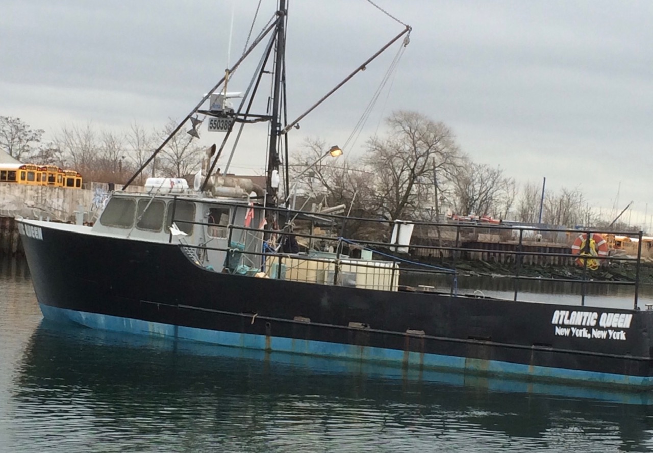 Picture Boat - Image 8